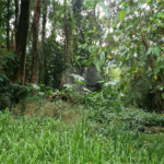 Terreno à venda em Serra da Cantareira, Mairiporã, SP