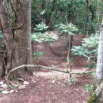 Sítio à venda no Centro, Monte Sião, MG
