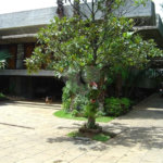 Casa Térrea à venda com 5 quartos, sendo 3 suítes, em Interlagos, São Paulo, SP