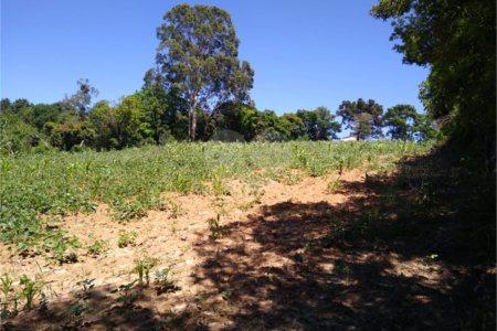 Área de Terra à venda em Cristóvão, Araçoiaba da Serra, SP