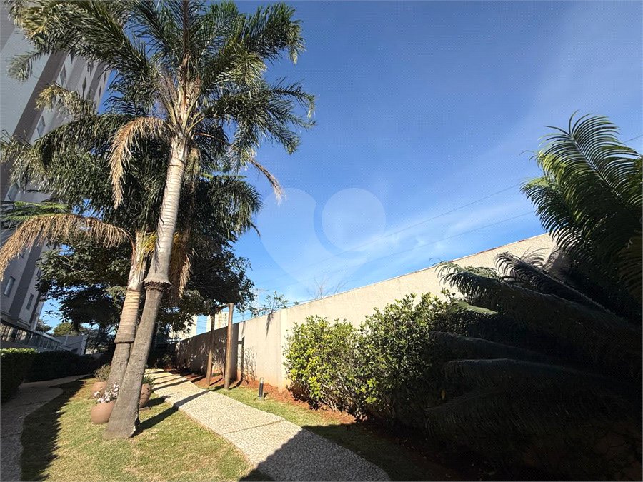 Apartamento para alugar com 3 quartos, sendo 1 suíte, em Vila Guilherme, São Paulo, SP