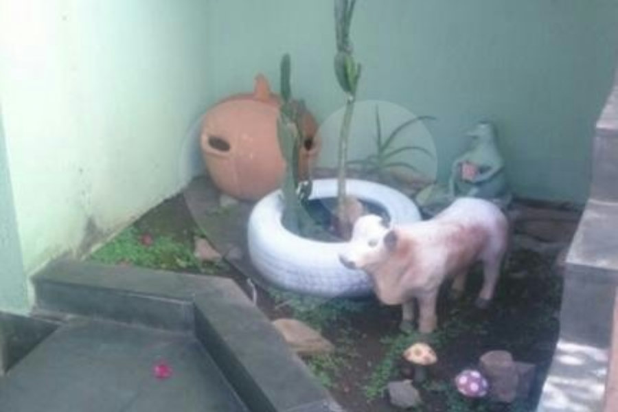 Casa Térrea à venda com 2 quartos em Tremembé, São Paulo, SP