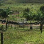 Fazenda à venda no Centro, Sete Barras, SP