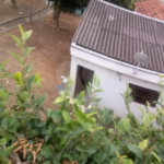 Prédio à venda em Vila Nova Cachoeirinha, São Paulo, SP