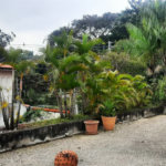 Sobrado à venda com 4 quartos, sendo 2 suítes,  em Bela Aliança, São Paulo, SP