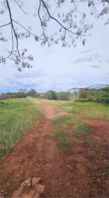 Terreno para alugar em Vila Áurea, Ponta Porã, MS