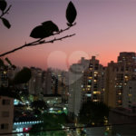 Apartamento à venda com 1 quarto em Planalto Paulista, São Paulo, SP