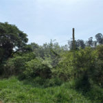 Terreno à venda em Anhanguera, São Paulo, SP