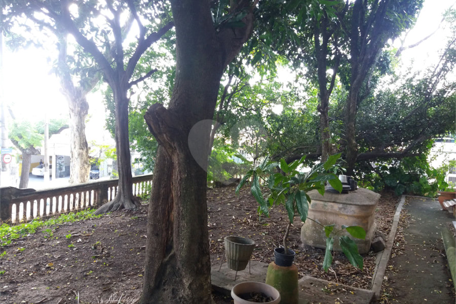 Terreno à venda com 3 quartos em Vila Guilherme, São Paulo, SP