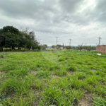 Terreno á venda, com 197m2, no Bairro Parque Primavera em São Carlos.