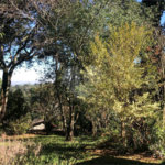Casa à venda com 5 quartos, sendo 3 suítes, em Serra da Cantareira, Mairiporã, SP