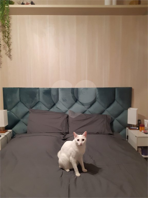 Apartamento à venda com 3 quartos em Aclimação, São Paulo, SP
