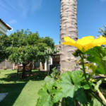 Casa à venda com 4 suítes no condomínio Parque Chapada DE Itu, Itu - SP