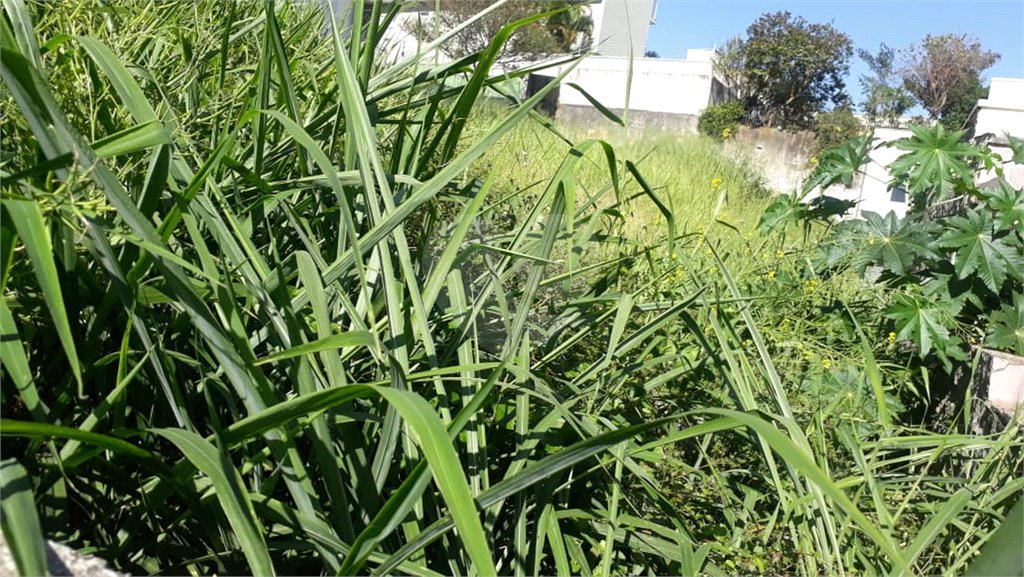 Terreno à venda em Jardim São Bento, São Paulo, SP