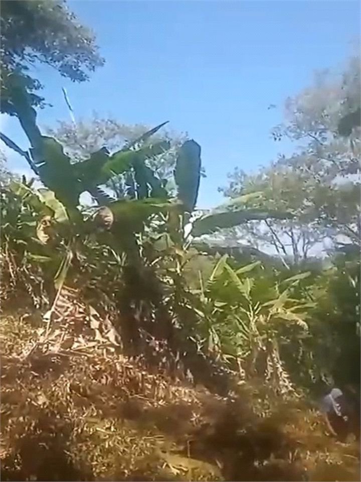 Terreno Residencial à venda, , - TE0030.