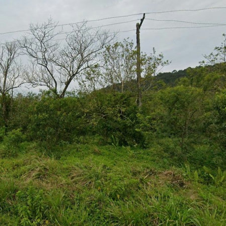 Terreno à venda, 10000 m² por R$ 8.500.000,00 - Cing - Guarujá/SP
