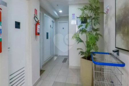 Apartamento à venda com 2 quartos em Cambuci, São Paulo, SP