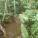 Terreno à venda em Vila Moraes, Mogi das Cruzes, SP