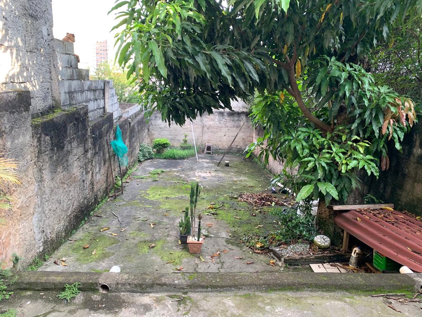 Sobrado à venda com 2 quartos em Vila Mazzei, São Paulo, SP
