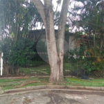 Casa Térrea à venda com 4 quartos, sendo 1 suíte, em Instituto de Previdência, São Paulo, SP