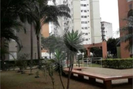 Apartamento à venda com 3 quartos, sendo 1 suíte, em Cambuci, São Paulo, SP