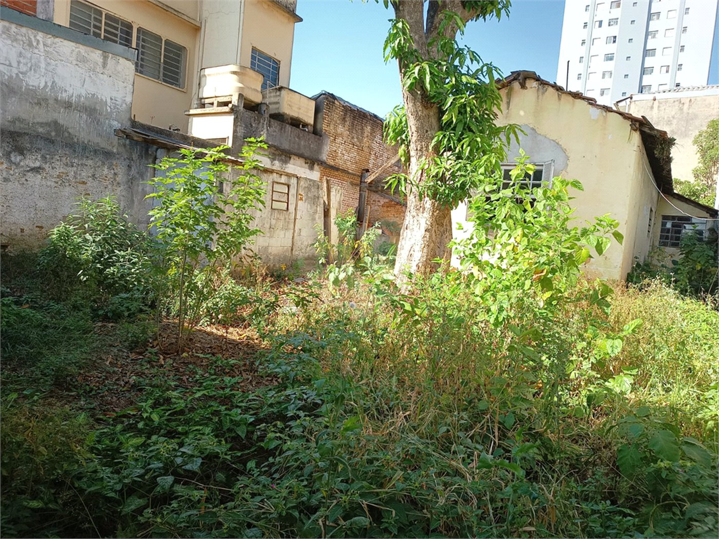 Galpão à venda com 3 quartos em Jardim Previdência, São Paulo, SP