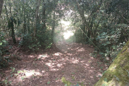 Chácara à venda em Bairro Biscoito Duro, Itapetininga, SP