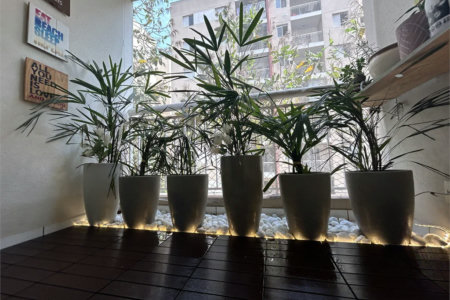 Apartamento à venda com 1 suíte em Vila Polopoli, São Paulo, SP