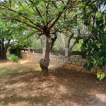 Chácara à venda com 3 quartos, sendo 1 suíte, em Chácara Flórida, Itu, SP
