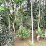 Casa à venda com 3 suítes no condomínio Sausalito, Mairiporã - SP