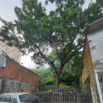 Loteamento à venda em Jardim Amália, São Paulo, SP