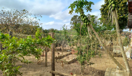 Terreno à venda em São Miguel Arcanjo, SP
