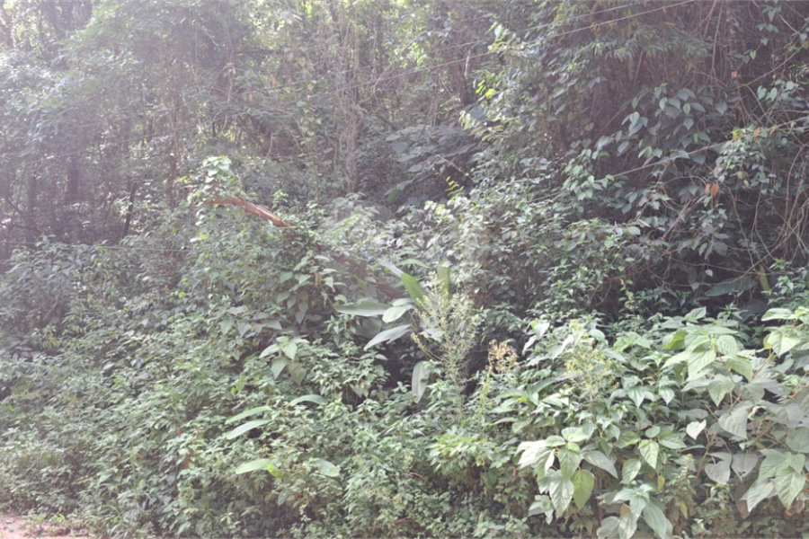 Terreno à venda no condomínio Campos de Mairiporã Gleba 1, Mairiporã - SP