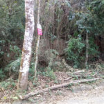 Terreno à venda em Serra da Cantareira, Mairiporã, SP