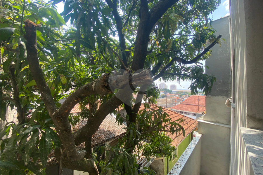 Apartamento à venda com 2 quartos em Tucuruvi, São Paulo, SP