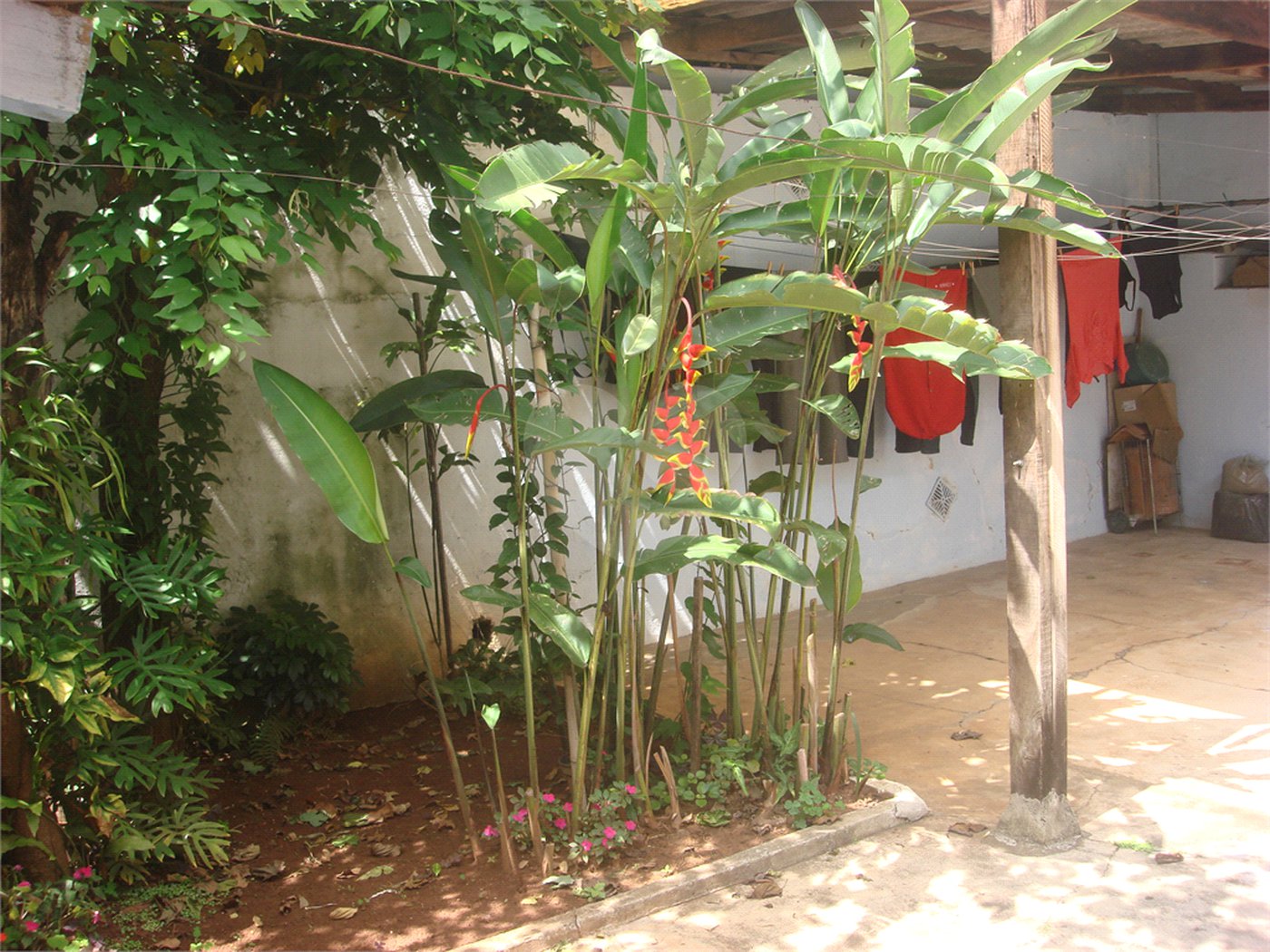 Casa à venda com 3 quartos em Imirim, São Paulo, SP