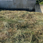 Terreno à venda em Jardim dos Pinheiros, Atibaia, SP