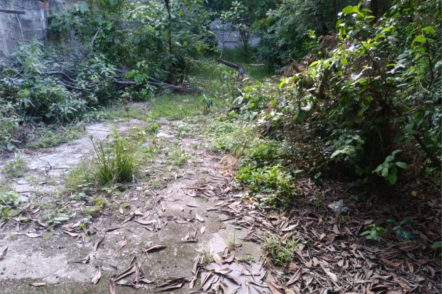 Terreno à venda em Jaçanã, São Paulo, SP