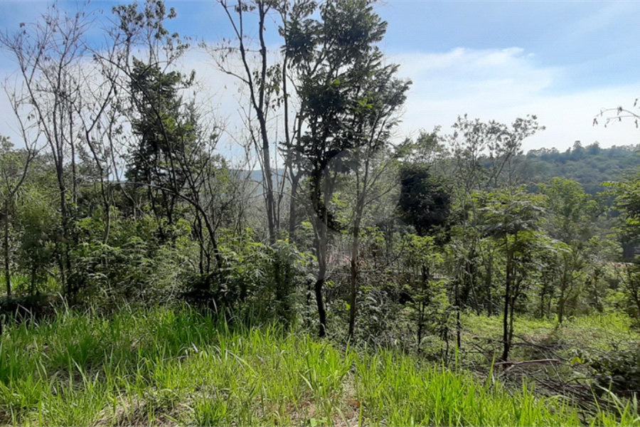 Terreno à venda em São Vicente, Mairiporã, SP