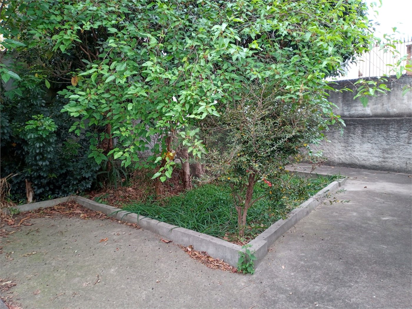 Sobrado à venda com 3 quartos em Vila Maria Alta, São Paulo, SP