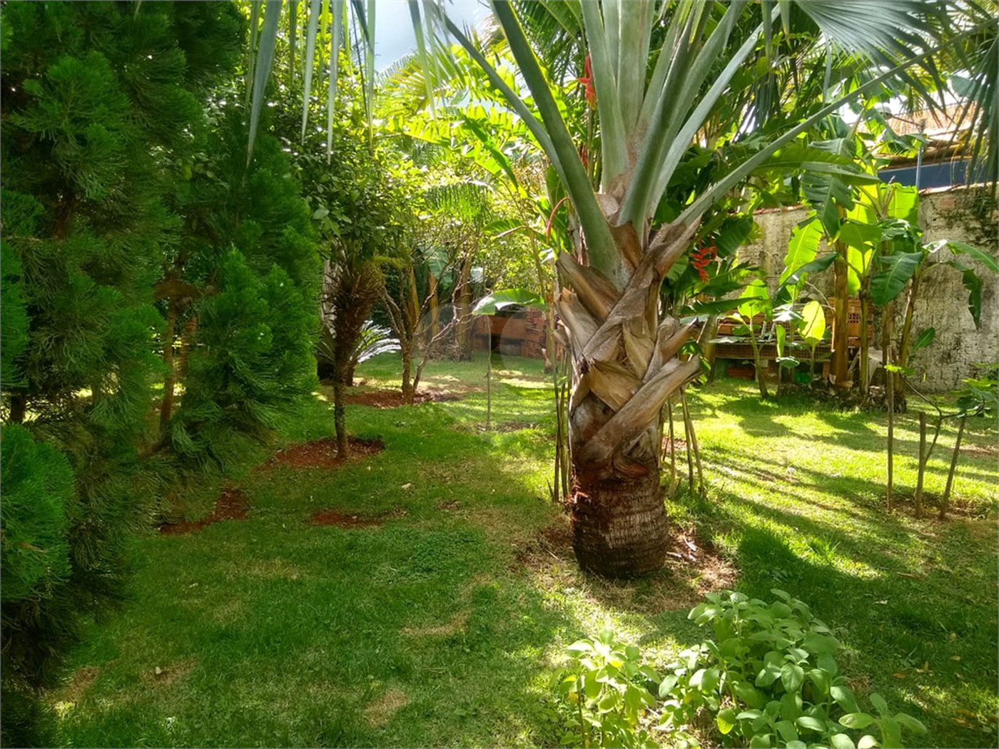 Casa à venda ou para alugar com 2 quartos, sendo 1 suíte,  em Vila Novo Horizonte, Itapetininga, SP