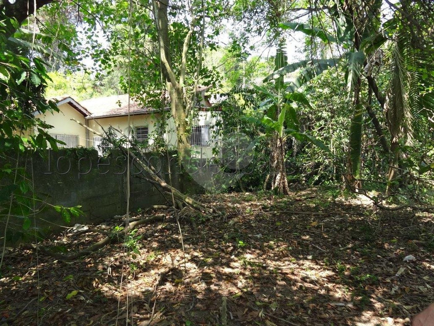 Terreno à venda em Horto Florestal, São Paulo, SP