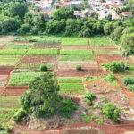 Terreno à venda em Jardim Itaú, Ribeirão Preto, SP
