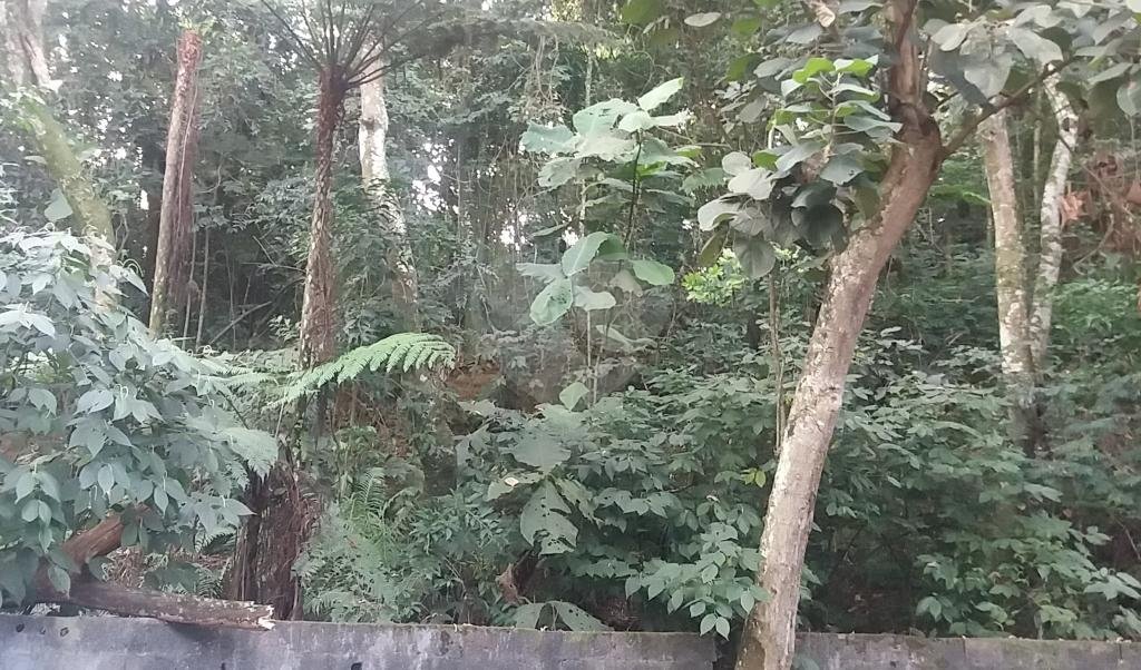 Terreno à venda em Tucuruvi, São Paulo, SP