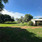 Chácara à venda em Jardim Universitário, Ponta Porã, MS