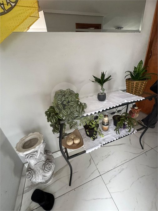 Casa à venda com 5 quartos em Vila Granada, São Paulo, SP