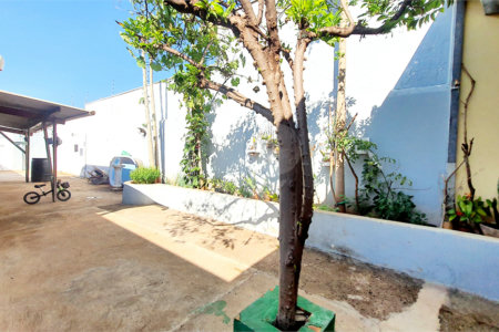 Casa à venda com 2 quartos, sendo 1 suíte, em Vila Albertina, Ribeirão Preto, SP