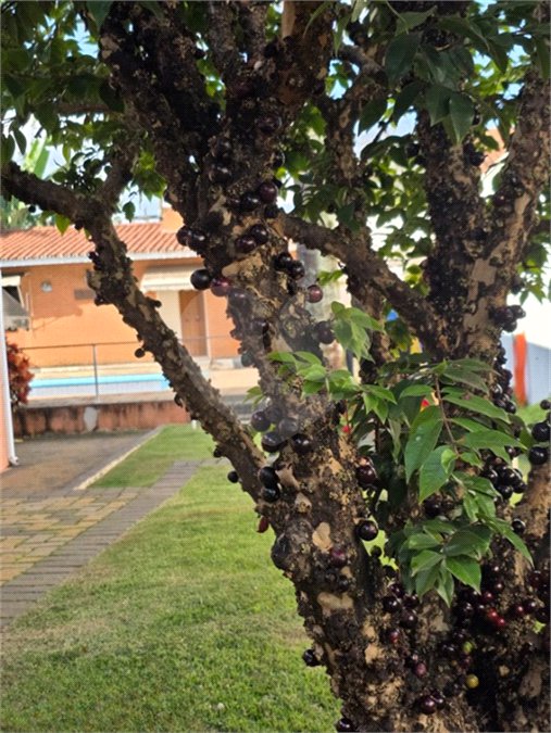 Casa à venda com 3 quartos, sendo 1 suíte, no condomínio Estância Marambaia, Vinhedo - SP