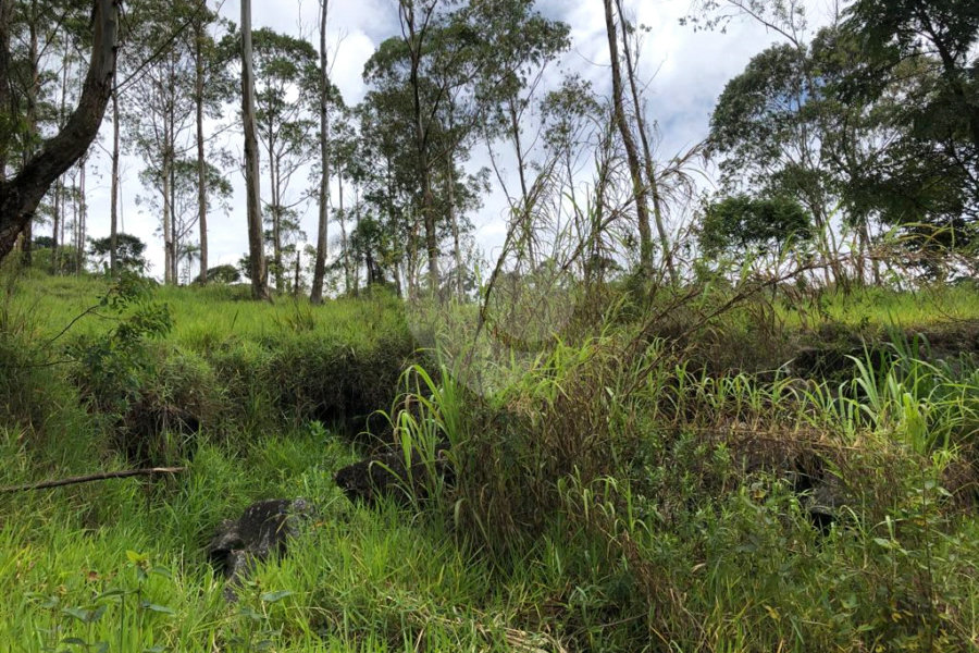 Terreno à venda em Serra da Cantareira, Mairiporã, SP