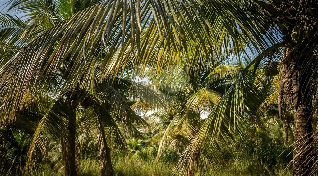 Área de Terra à venda com 1 suíte em Campo Grande, Rio de Janeiro, RJ